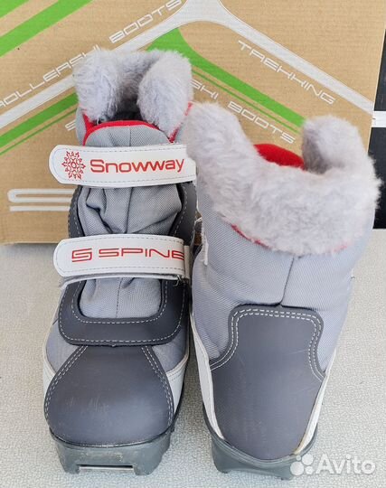 Лыжные ботинки spine