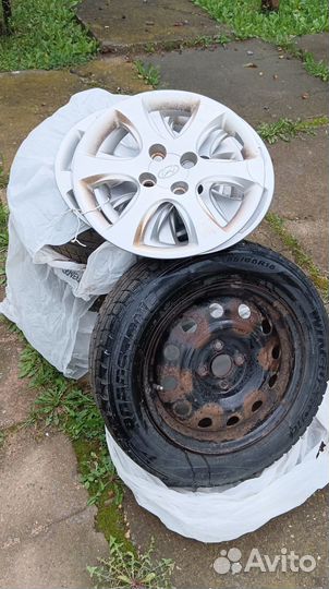 Roadstone Winguard Ice 185/65 R15