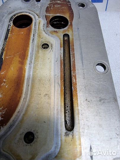 Теплообменник масляный Opel Astra H