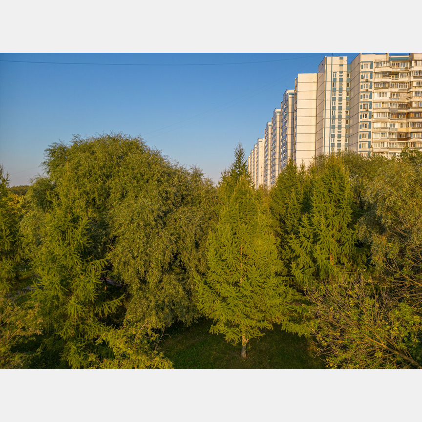 1-к. квартира, 50,9 м², 5/43 эт.