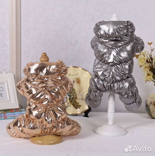 Дизайнерская одежда для маленькой собачки