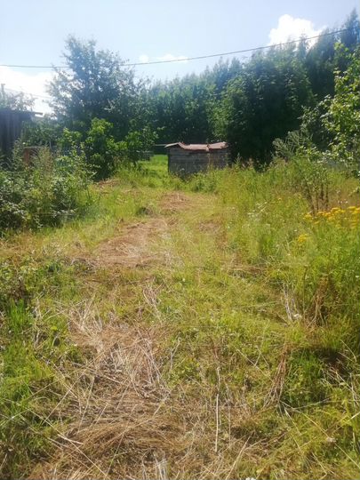 Участок 25 сот. (ИЖС)