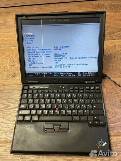 IBM X20