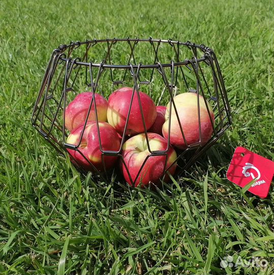 Фруктовница транформер, ваза, подарок учителю