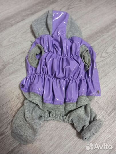 Костюм на собаку