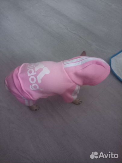 Комбинезон толстовка для маленькой собачки