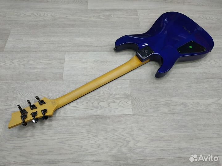 Электрогитара Schecter SGR BLS