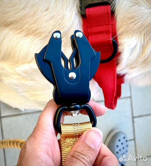 Поводок с амортизатором и карабином 