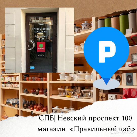 Чабань бамбук