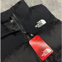 Жилет мужской TNF