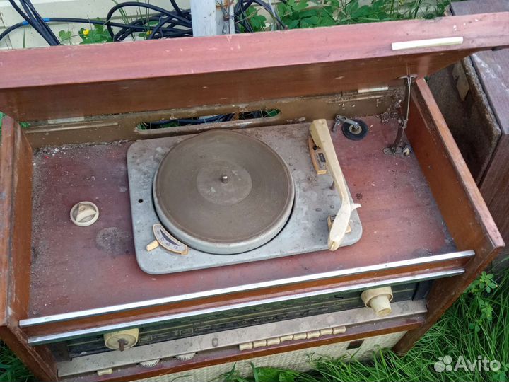 Радиола ригонда