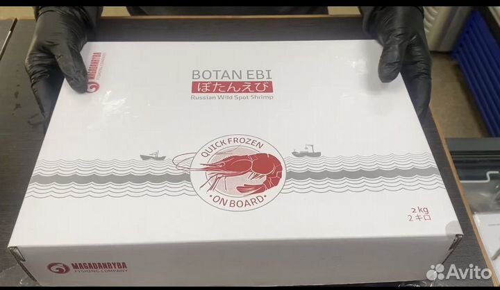 Креветка гребенчатая Ботан