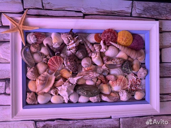 Морские ракушки 1кг