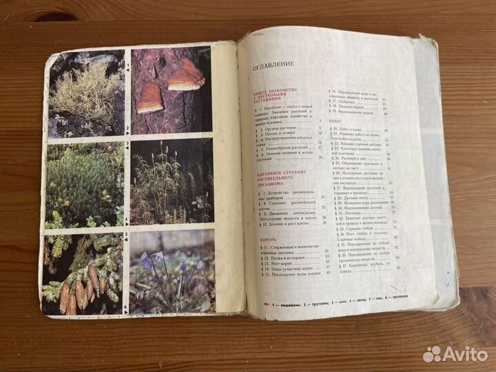 Биология ОГЭ ЕГЭ Комплект учебников