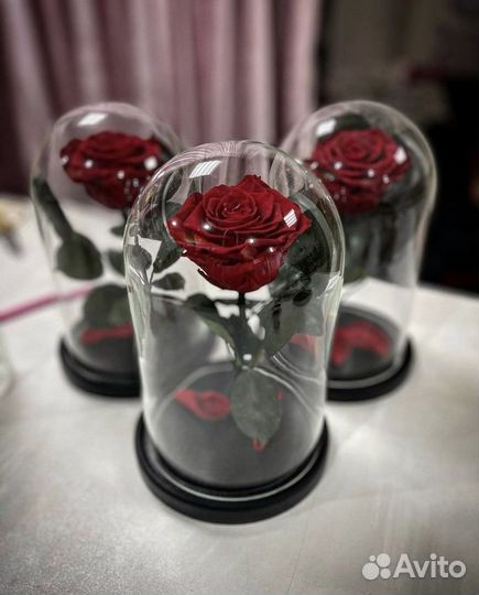 Роза в колбе