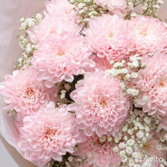 Букет из хризантем с гипсофилой Доставка