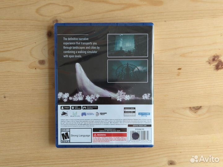 The Silent Swan PS5