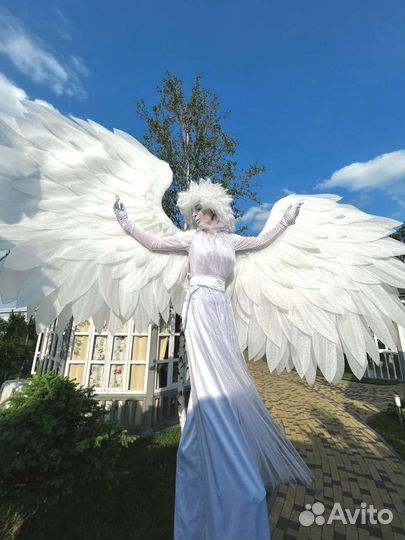 Ходулисты.Танцоры.Аниматоры.Шоу 