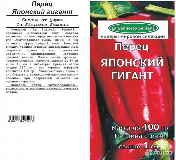 Рассада перцев