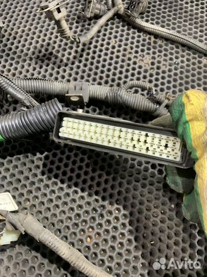 Проводка двигателя 491QE Great Wall Deer Safe