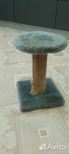 Когтеточка для кошек новая