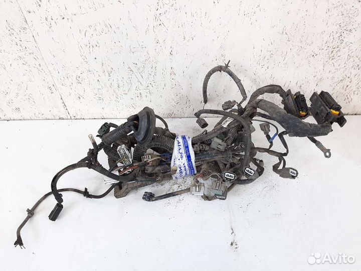 Проводка двигателя Ниссан Альмера классик