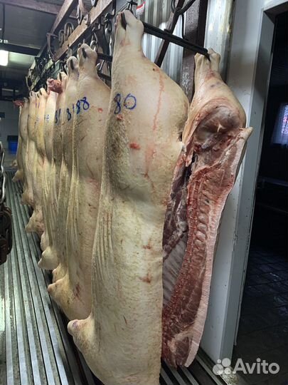 Мясо свинина полутуши