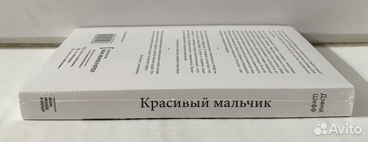 Дэвид Шефф - Красивый мальчик