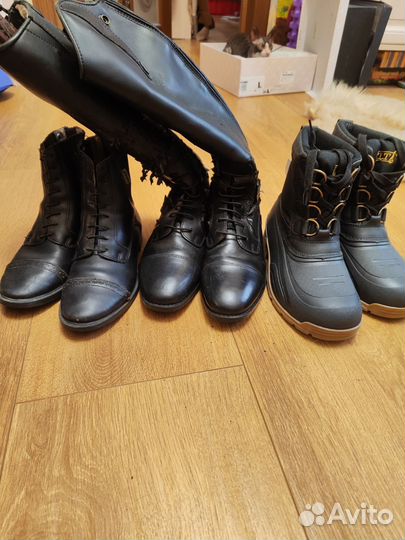 Обувь для верховой езды