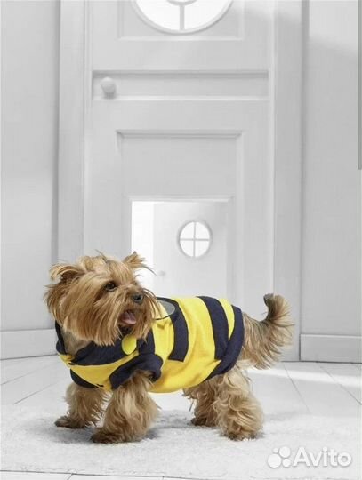 Костюм (одежда) для собак