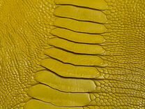 Натуральная кожа страуса с голени, жёлтый цвет