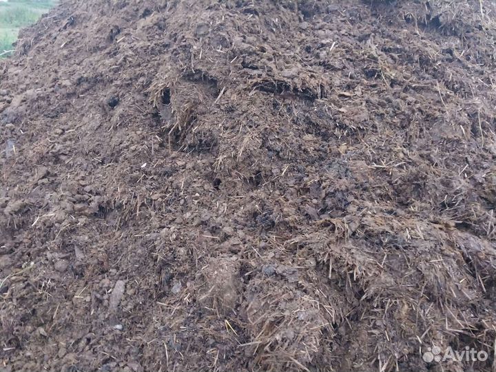 Конский навоз