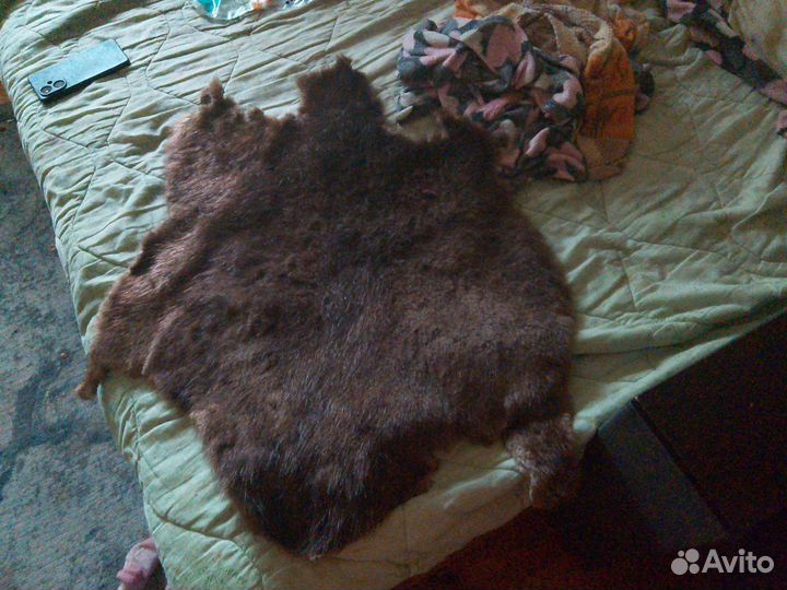 Шкура зверя