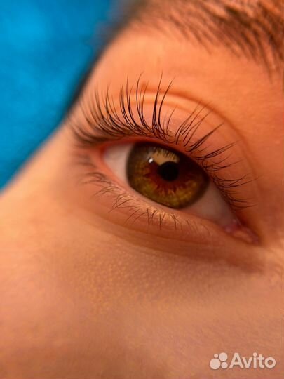 Распродажа Онлайн Обучения Ламинированию ресниц