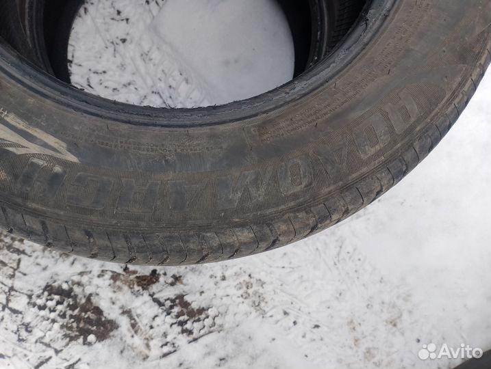 Roadmarch EcoPro 99 225/60 R16