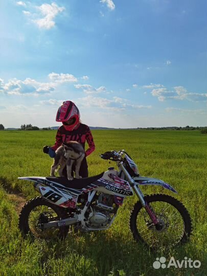 Avantis FX 250 Lux