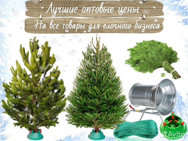 Ели оптом, живые елки оптом, сосна опт