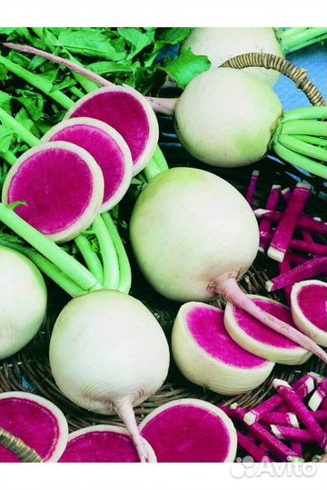 Арбузная редька, семена, 50 шт