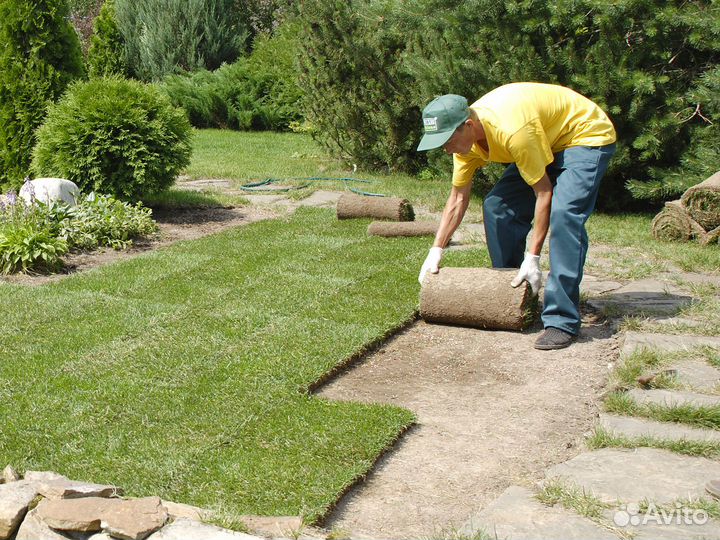 Рулонный газон с доствкой