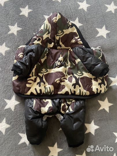 Одежда для собак