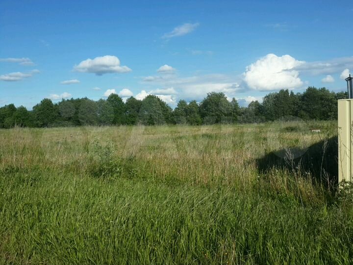 Участок 25 сот. (СНТ, ДНП)