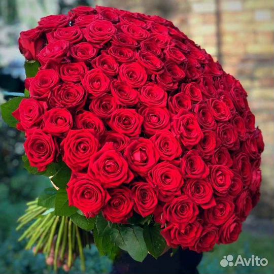 101 роза 51 роза 75 45 31 21 Букет Доставка