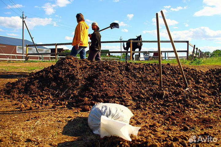 Доставим перегной чернозем навоз