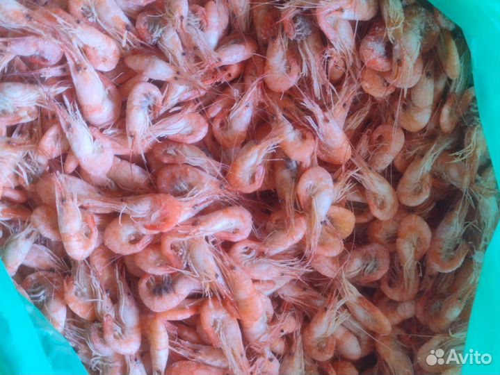 Креветка свежемороженная 3-5 см сухой заморозки