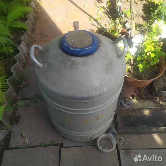 Сосуд Дьюара