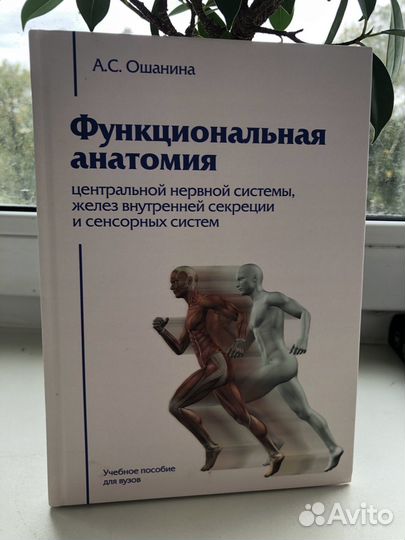 Функциональная анатомия