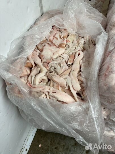 Сало свиное