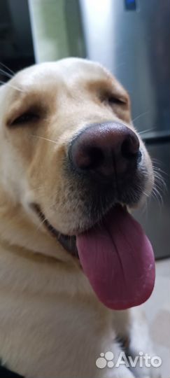 Семейная фотосессия