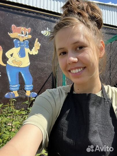 Ропись стен