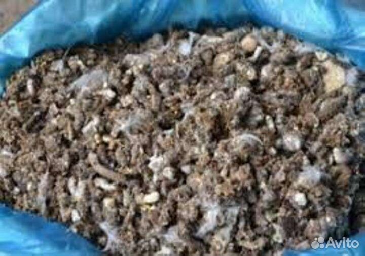 Навоз куриный